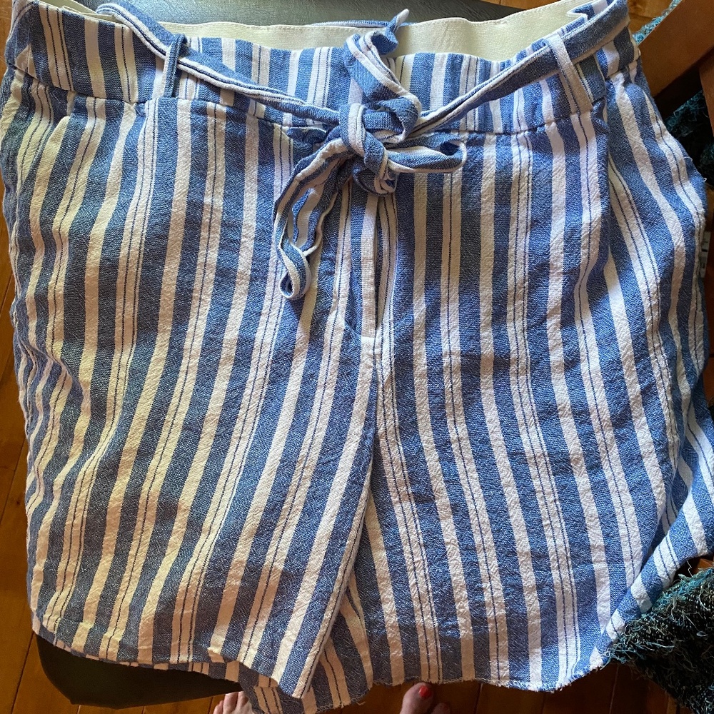 Cute summer shorts size 16